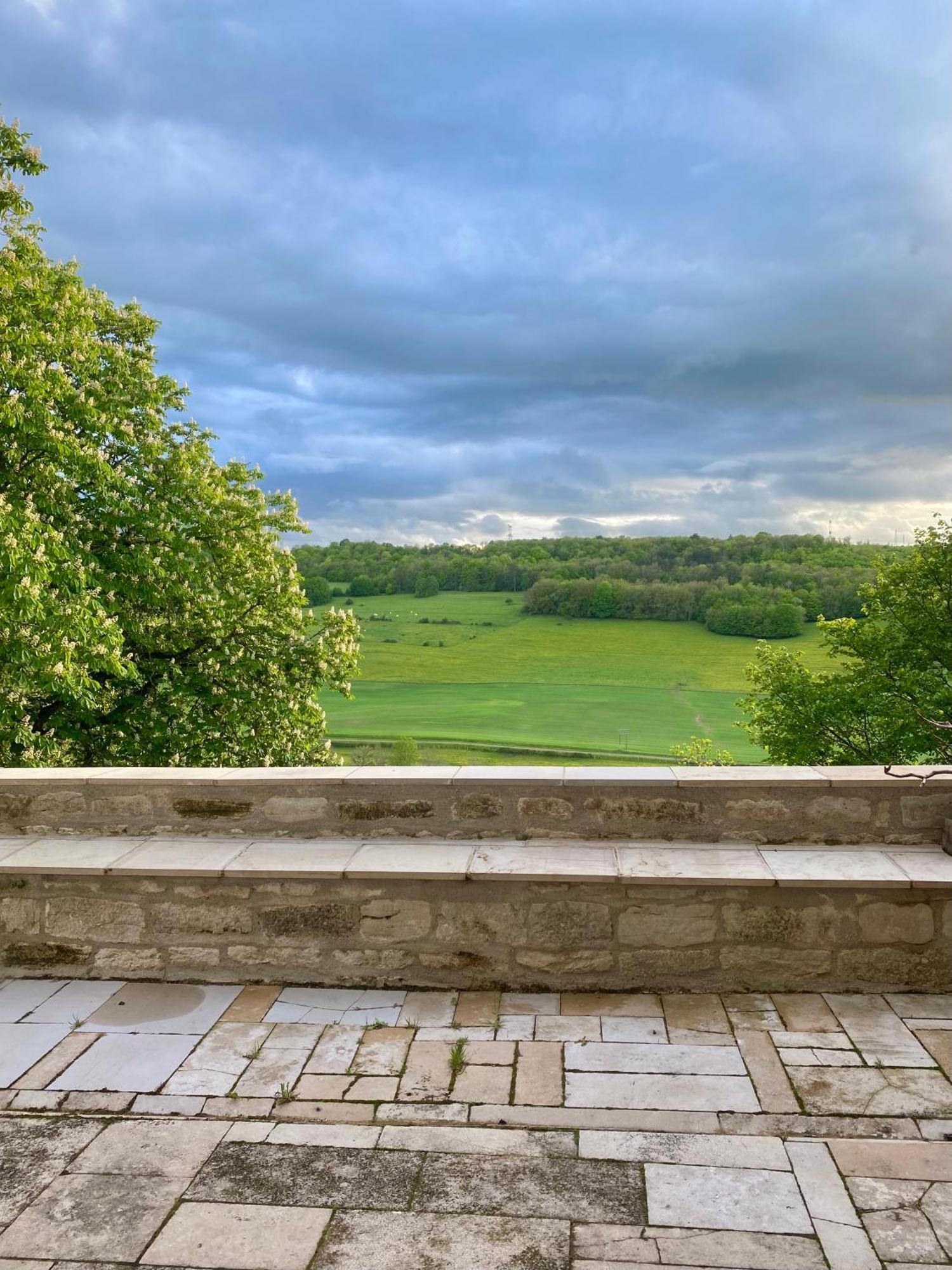Château de Champrenault Exterior foto