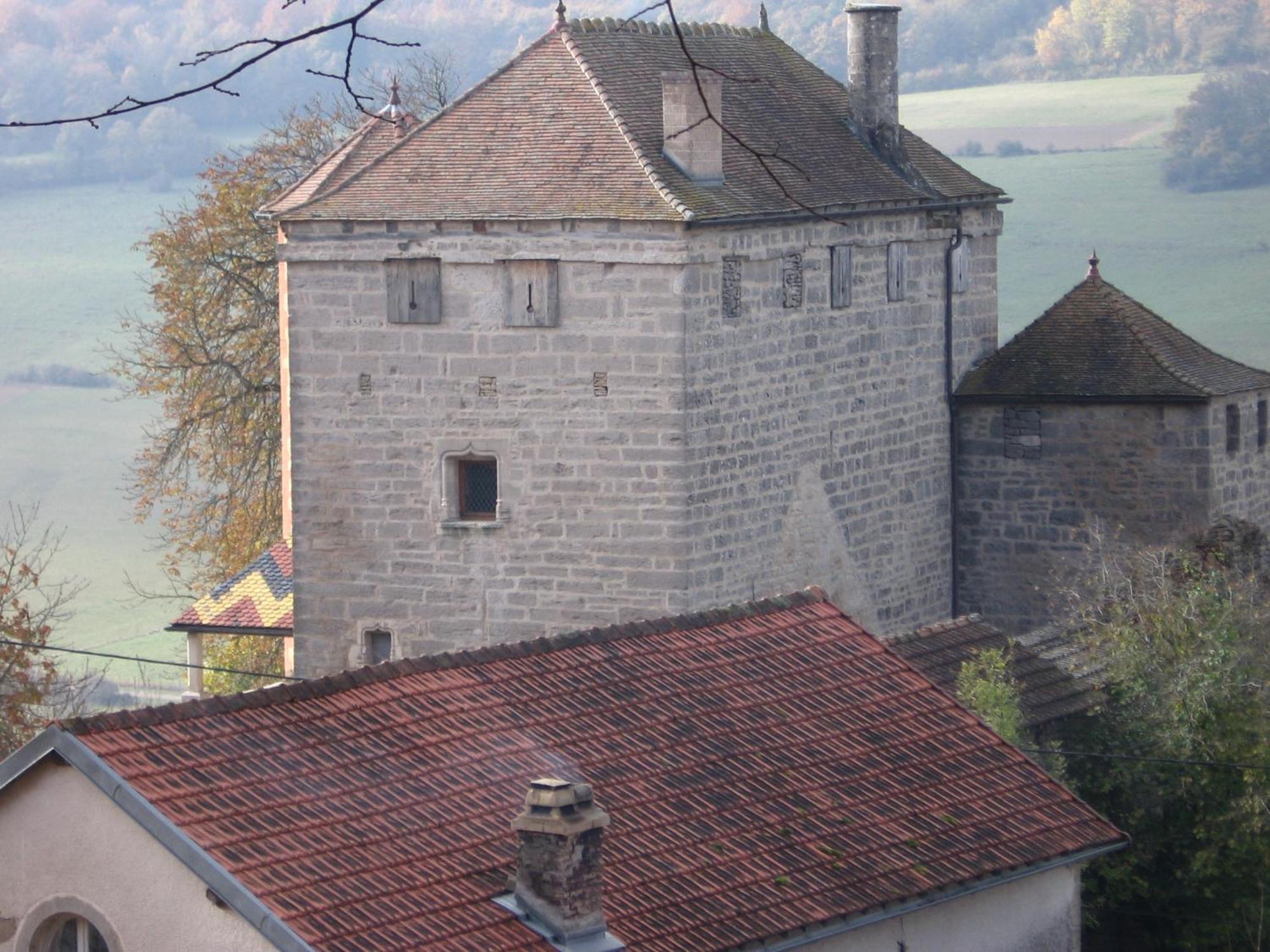 Château de Champrenault Exterior foto